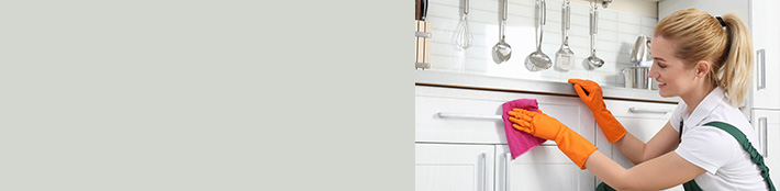 CareandCleaningBanner